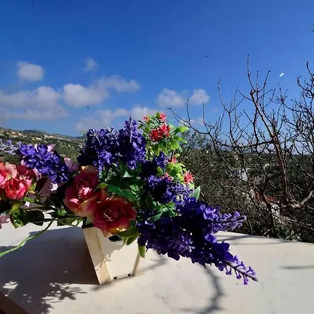 Hébergement de vacances Iris Stone House/Amazing View/1Km To The Beach *
